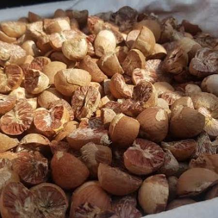 Dried areca nut